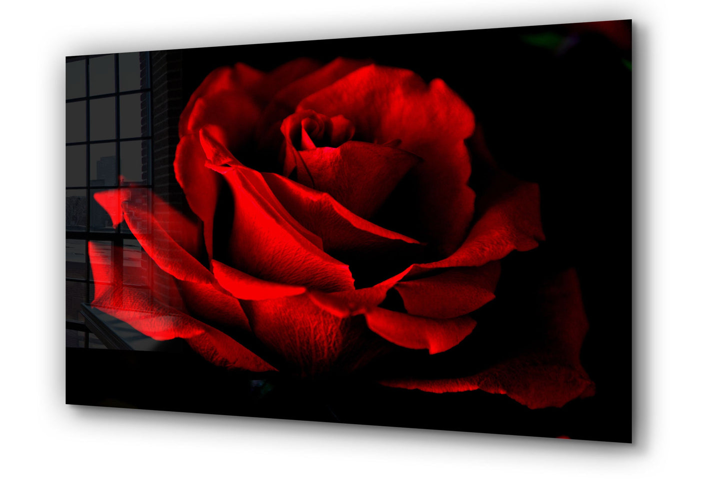 Red Rose, Large Glass Wall Art