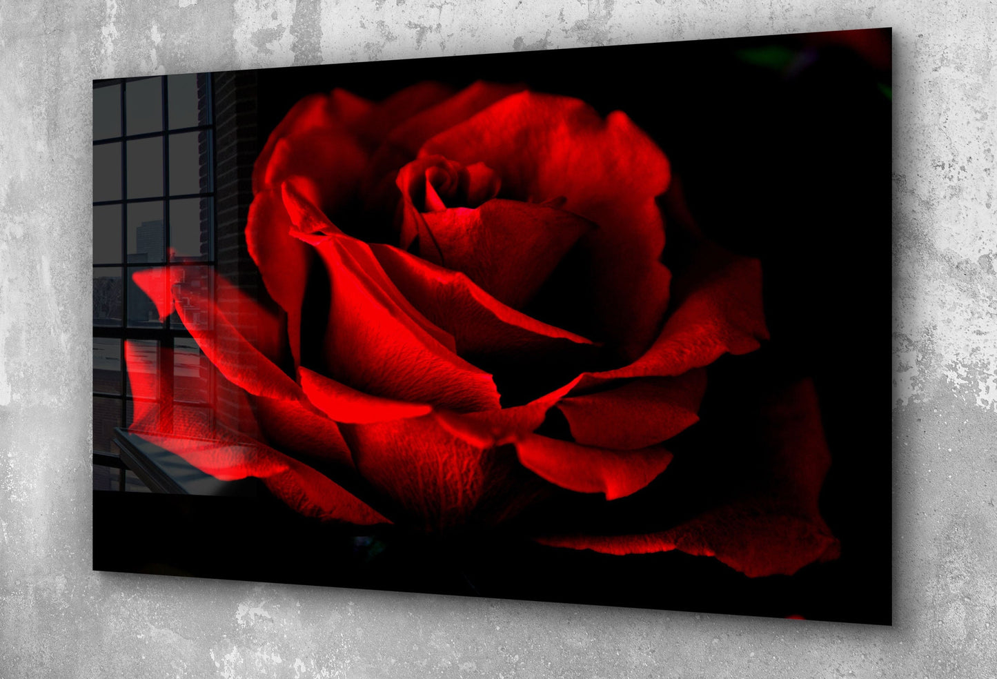 Red Rose, Large Glass Wall Art