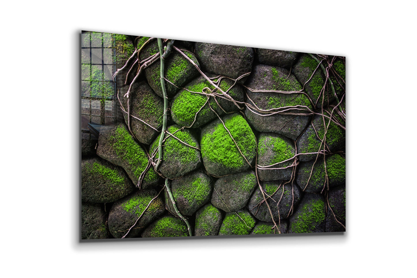 Mossy Rocks, Large Glass Wall Art