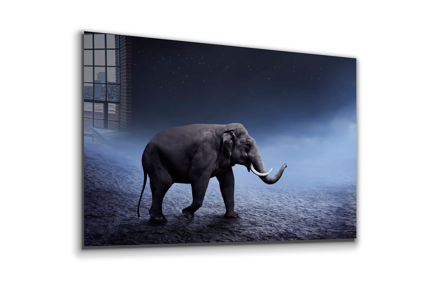 Elephant Night Walk, Large Glass Wall Art