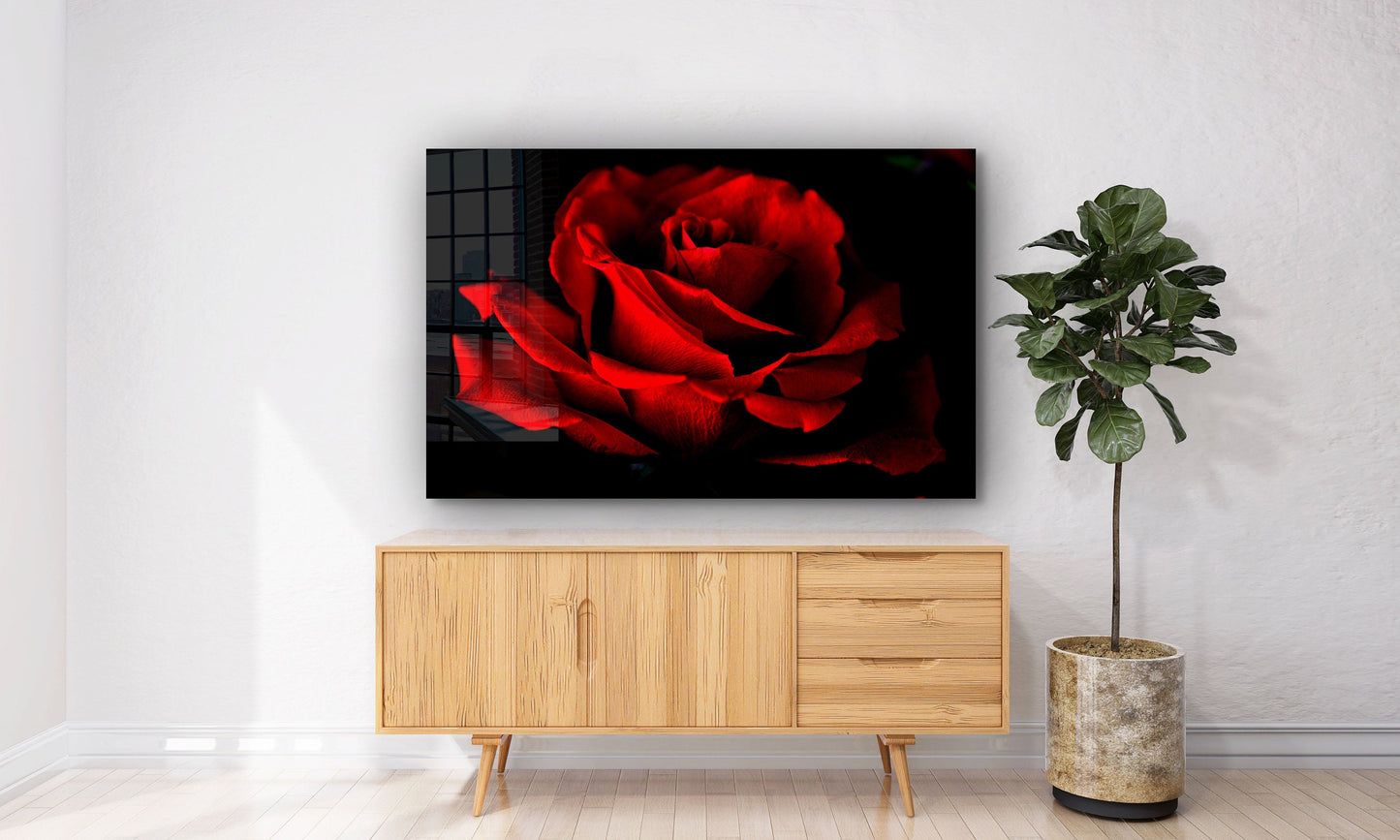 Red Rose, Large Glass Wall Art
