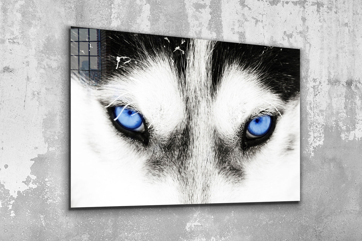 Wolf Large Glass Wall Art