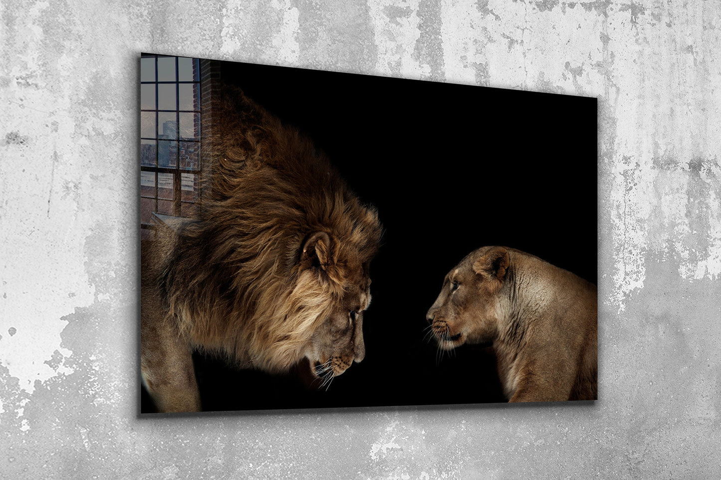 Lion & Lioness, Large Glass Wall Art