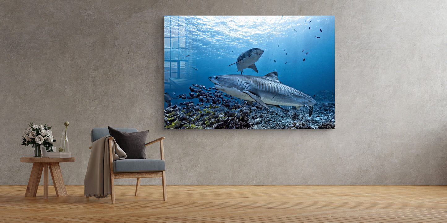 Shark Water, Tropical, Ocean Life, Large Glass Wall Art
