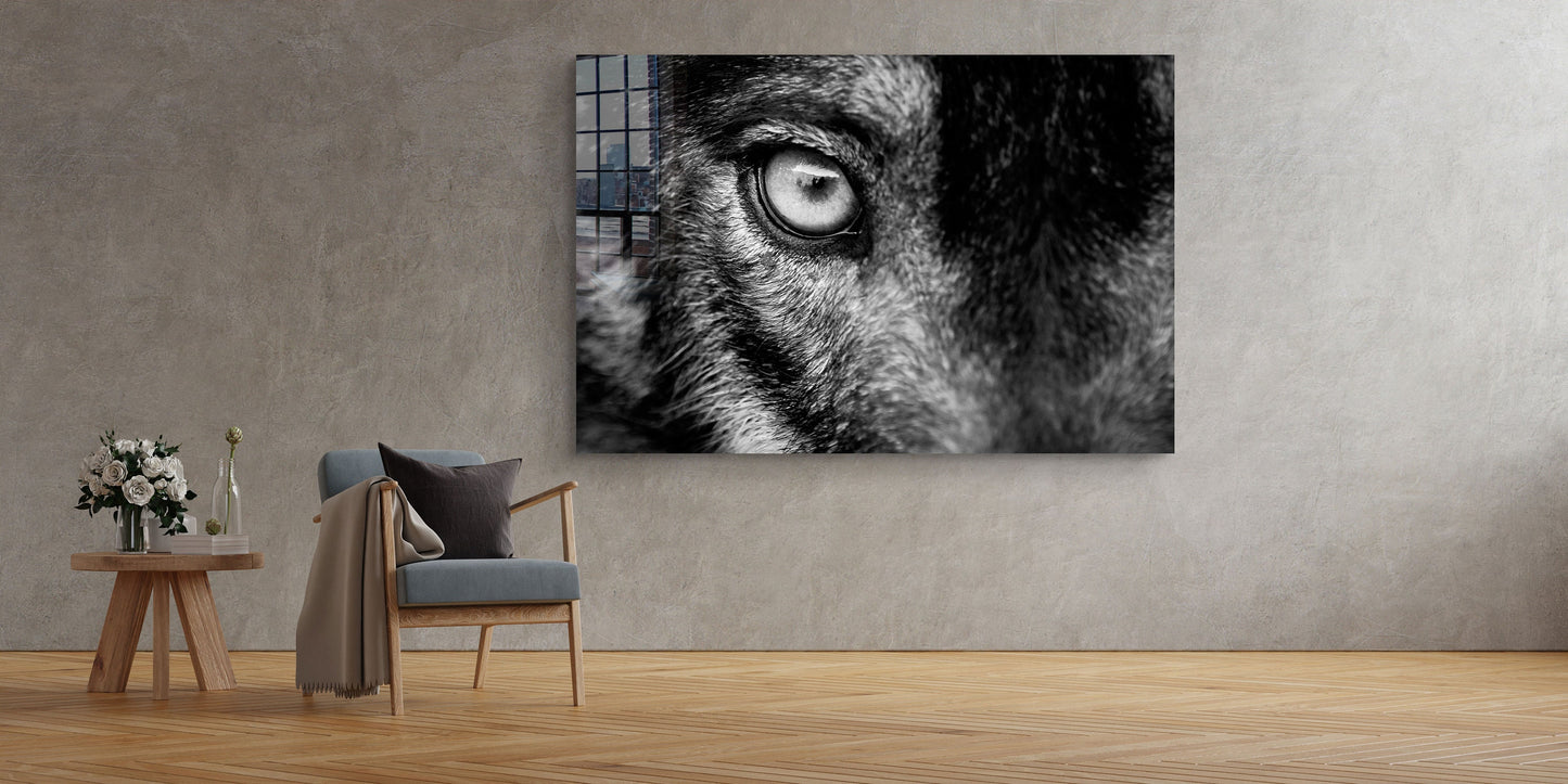 Wolf Eye, Large Glass Wall Art