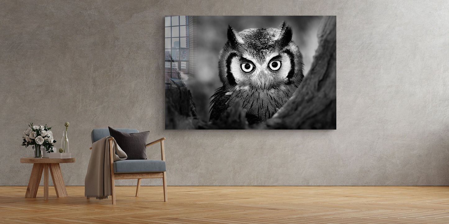 Owl, Large Glass Wall Art