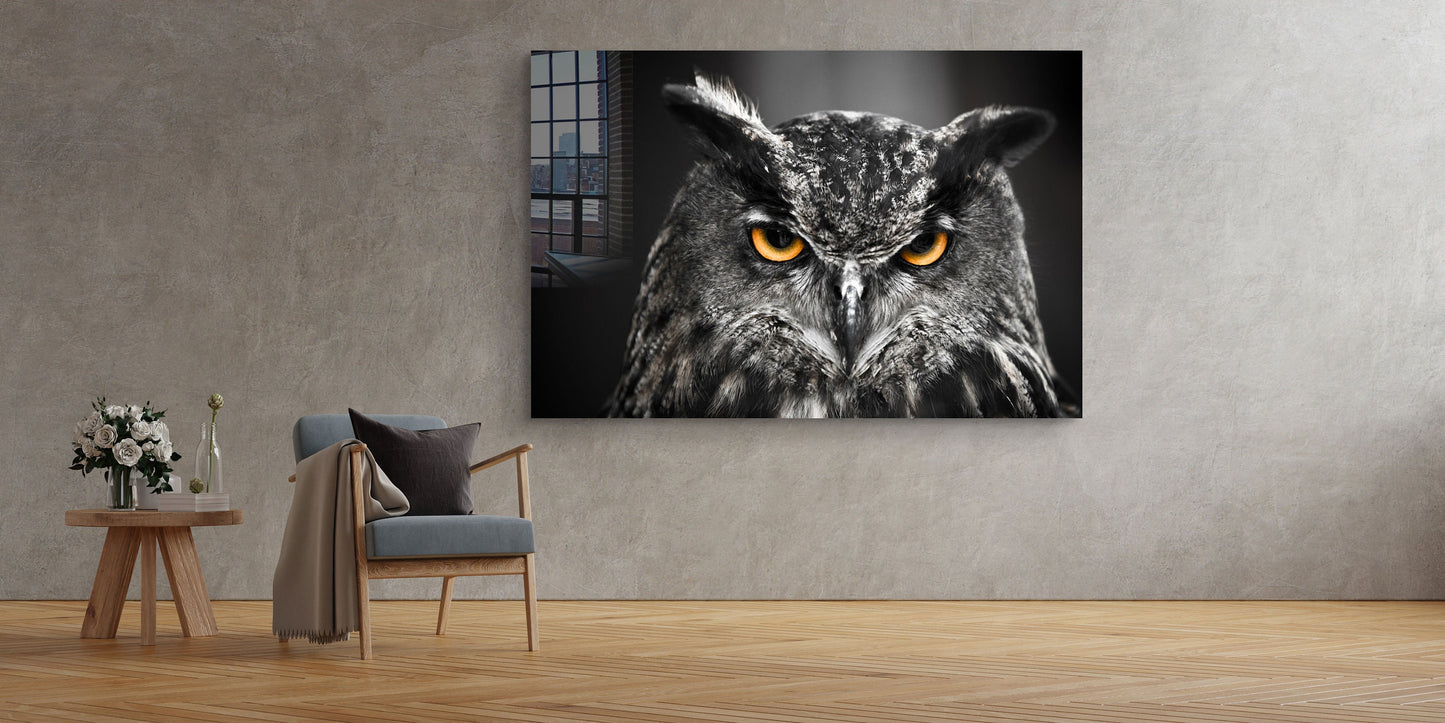 Owl Staring, Large Glass Wall Art