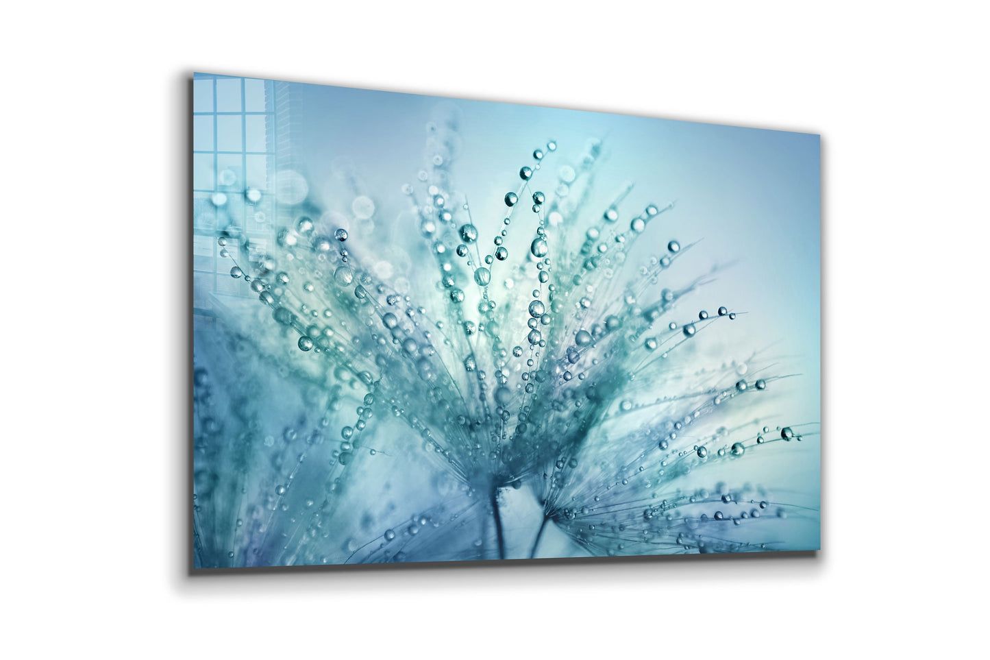 Dandelion Large Glass Wall Art