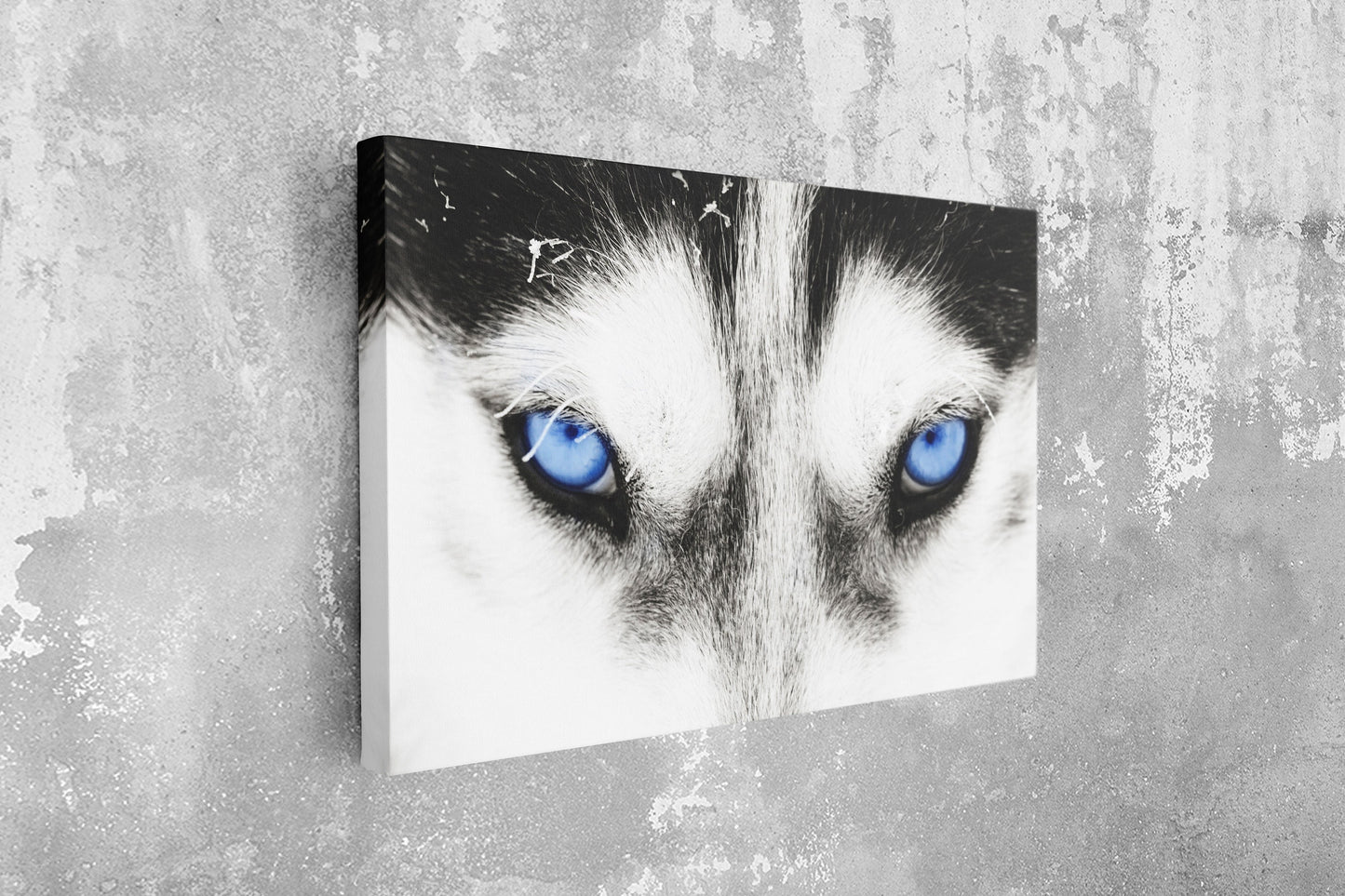 Wolf Large Glass Wall Art