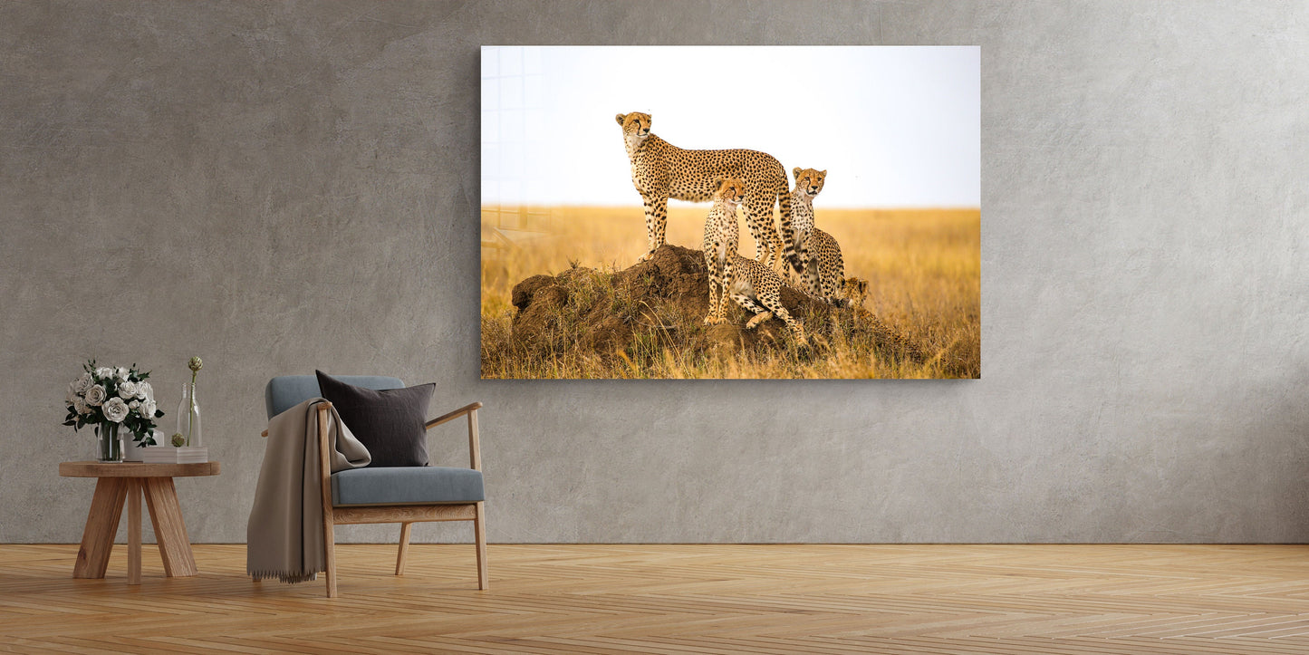 Cheetah, Large Glass Wall Art