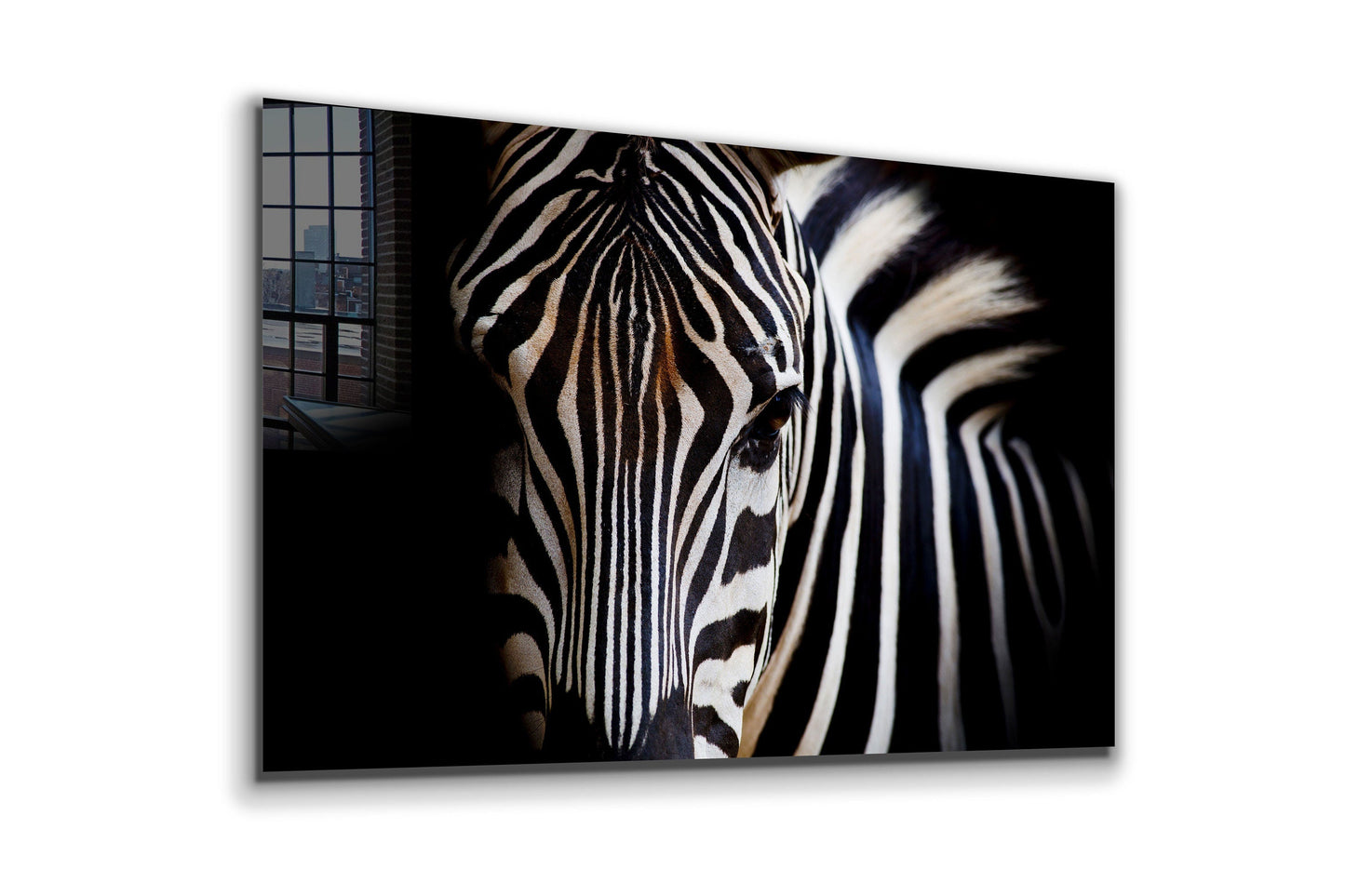 Zebra, Large Glass Wall Art