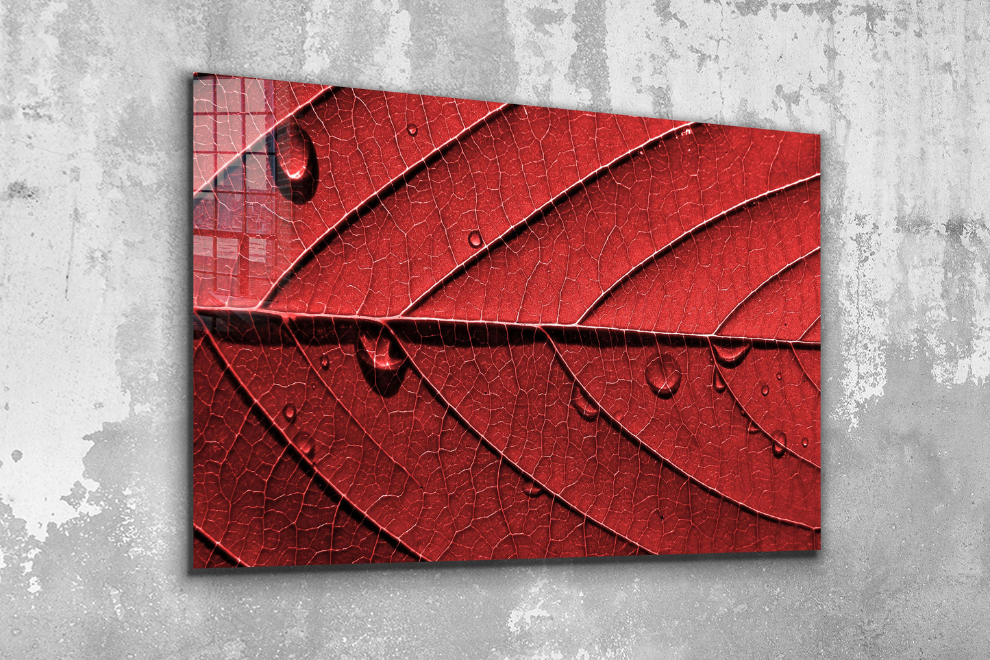 Red Leaf, Large Glass Wall Art