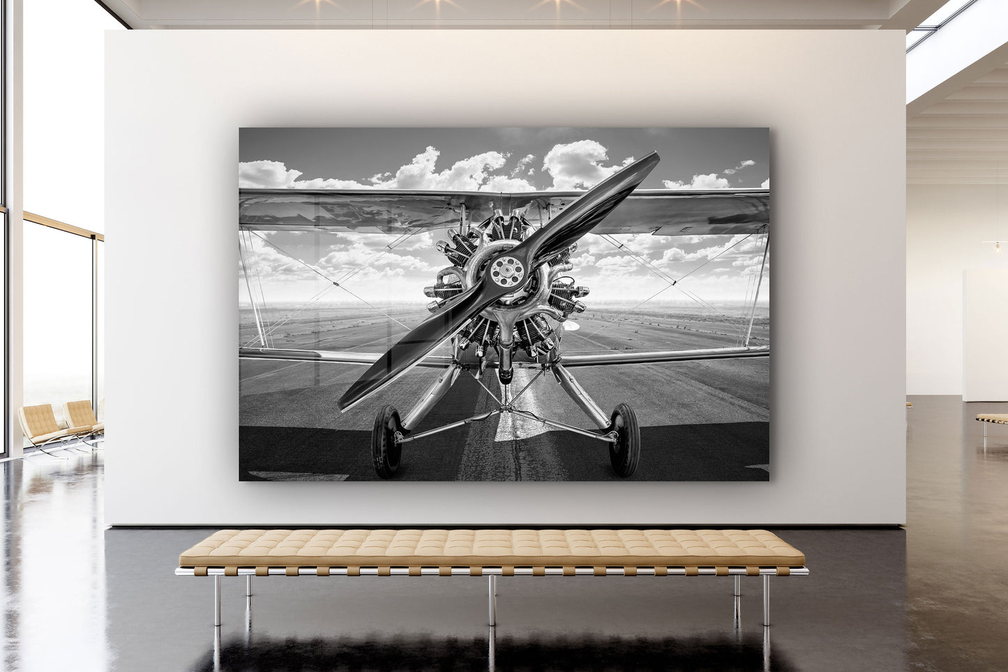Biplane Black & White, Large Glass Wall Art