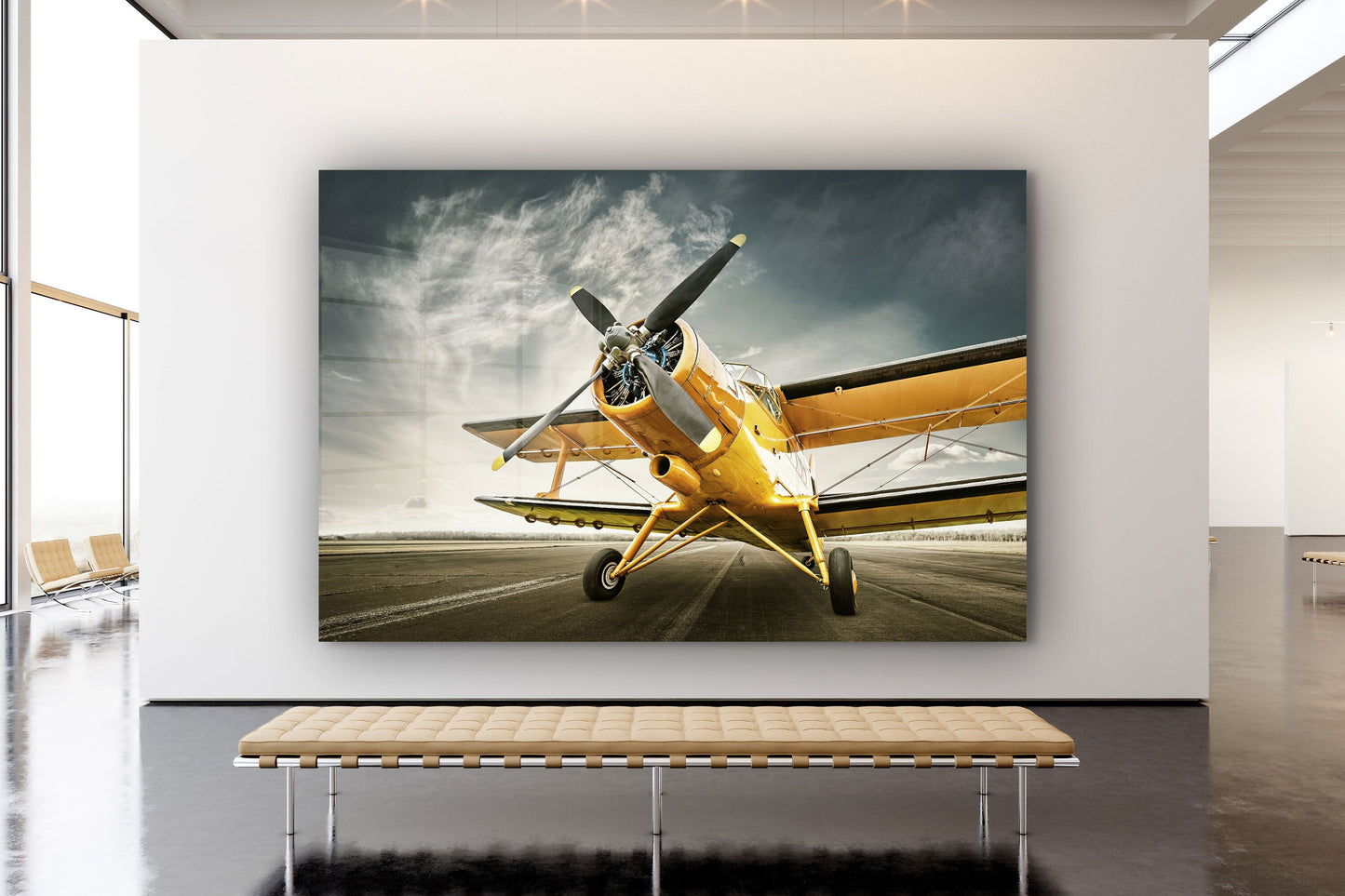 BiPlane, Large Glass Wall Art