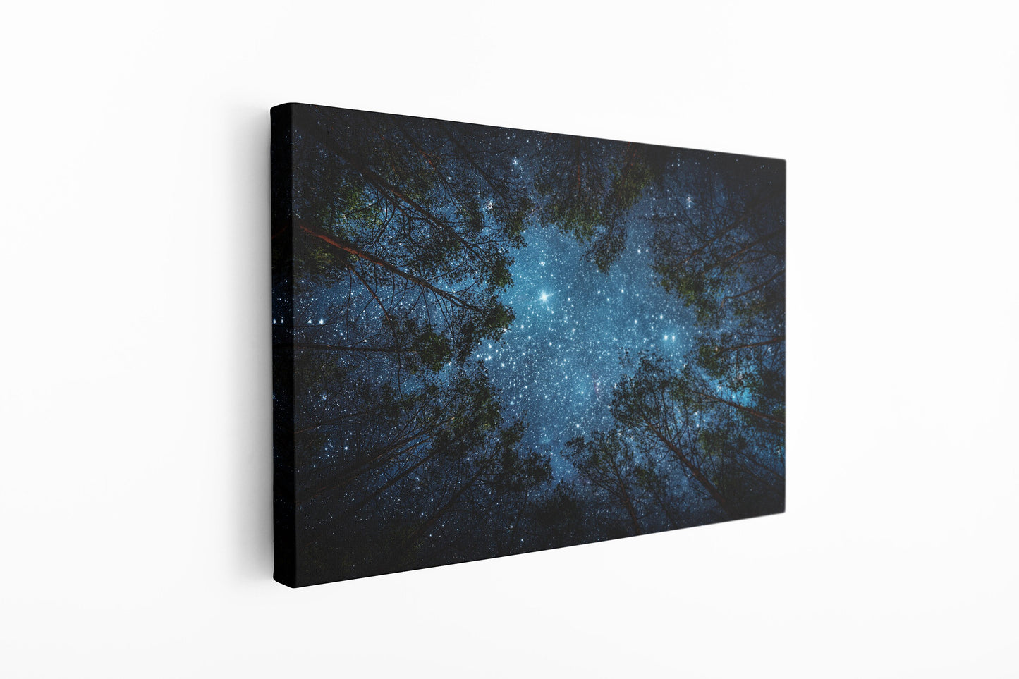Stars in the Forest, Large Glass Wall Art