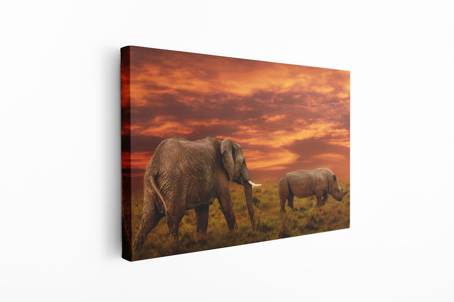Elephant and Rhino Africa, Large Glass Wall Art