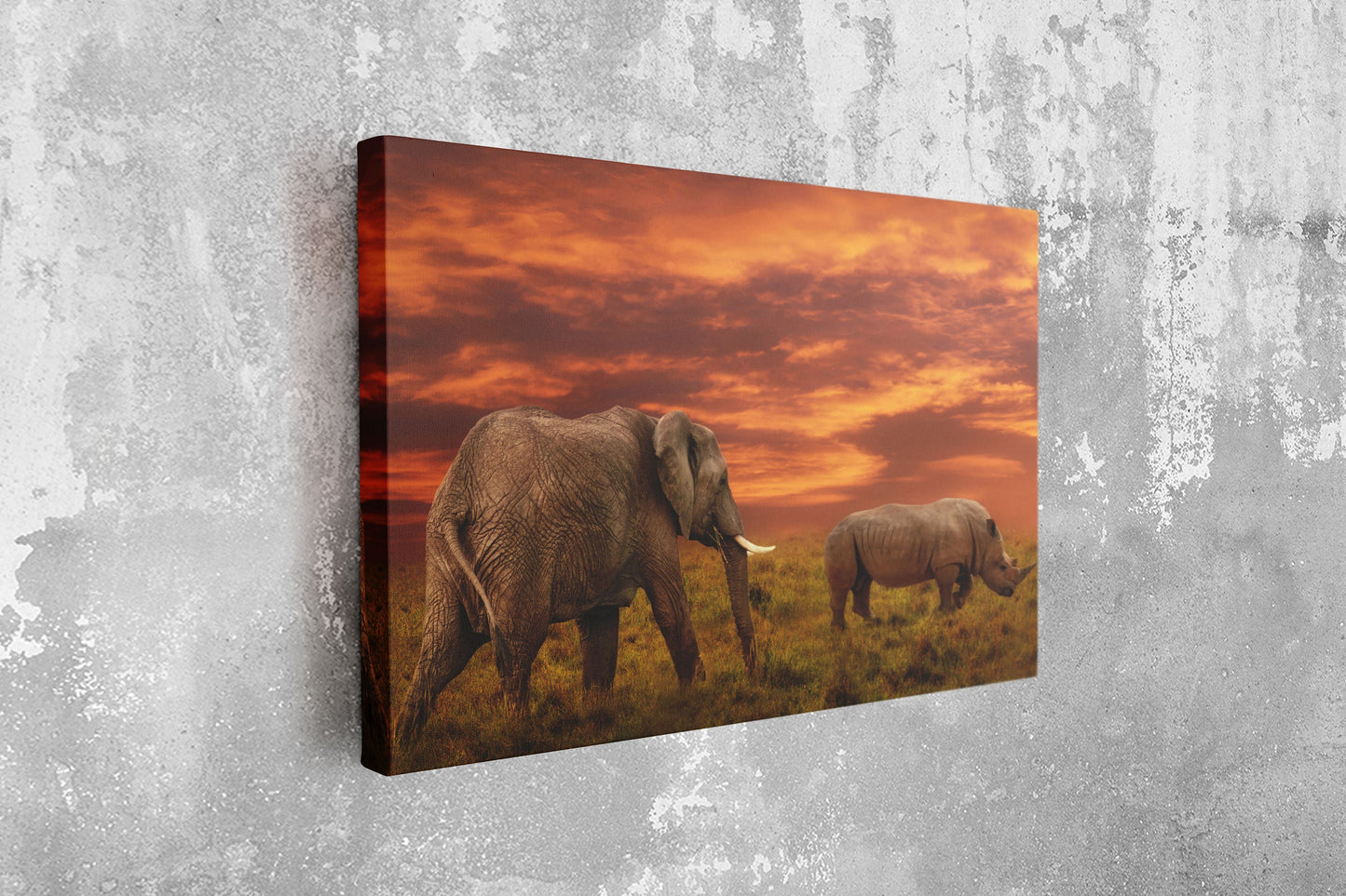 Elephant and Rhino Africa, Large Glass Wall Art