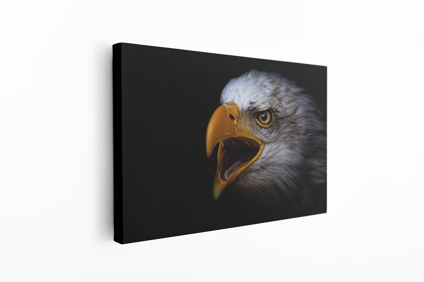 Eagle, Large Glass Wall Art