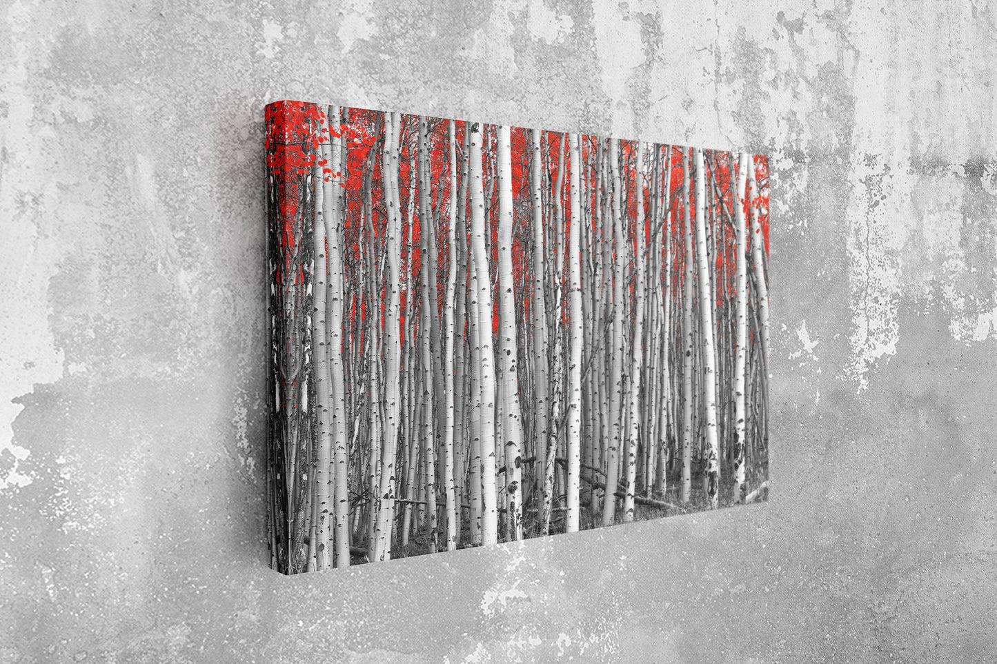 Birch Forest in Autumn, Large Glass Wall Art