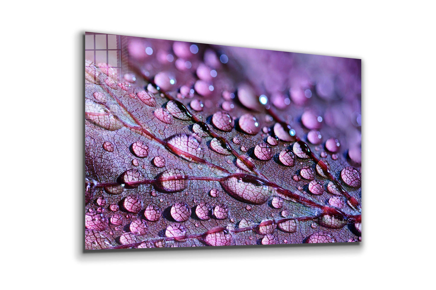 Drops on Leaf Close Up, Large Glass Wall Art
