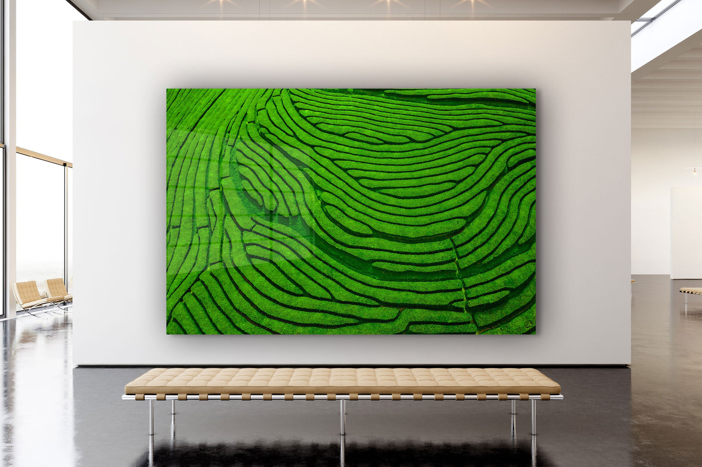 Tea Plantation, Large Glass Wall Art