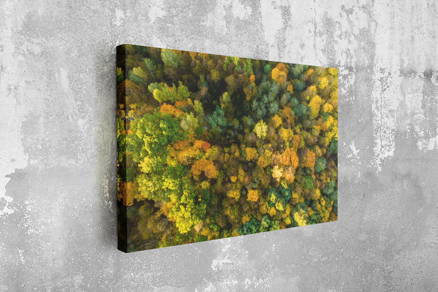 Forest, Trees, Large Glass Wall Art