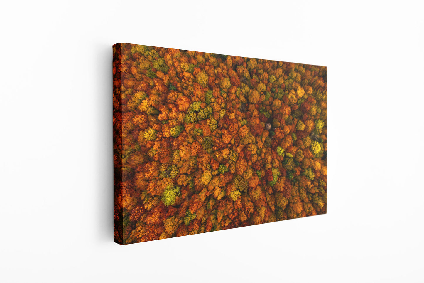 Trees, Forest, Large Glass Wall Art