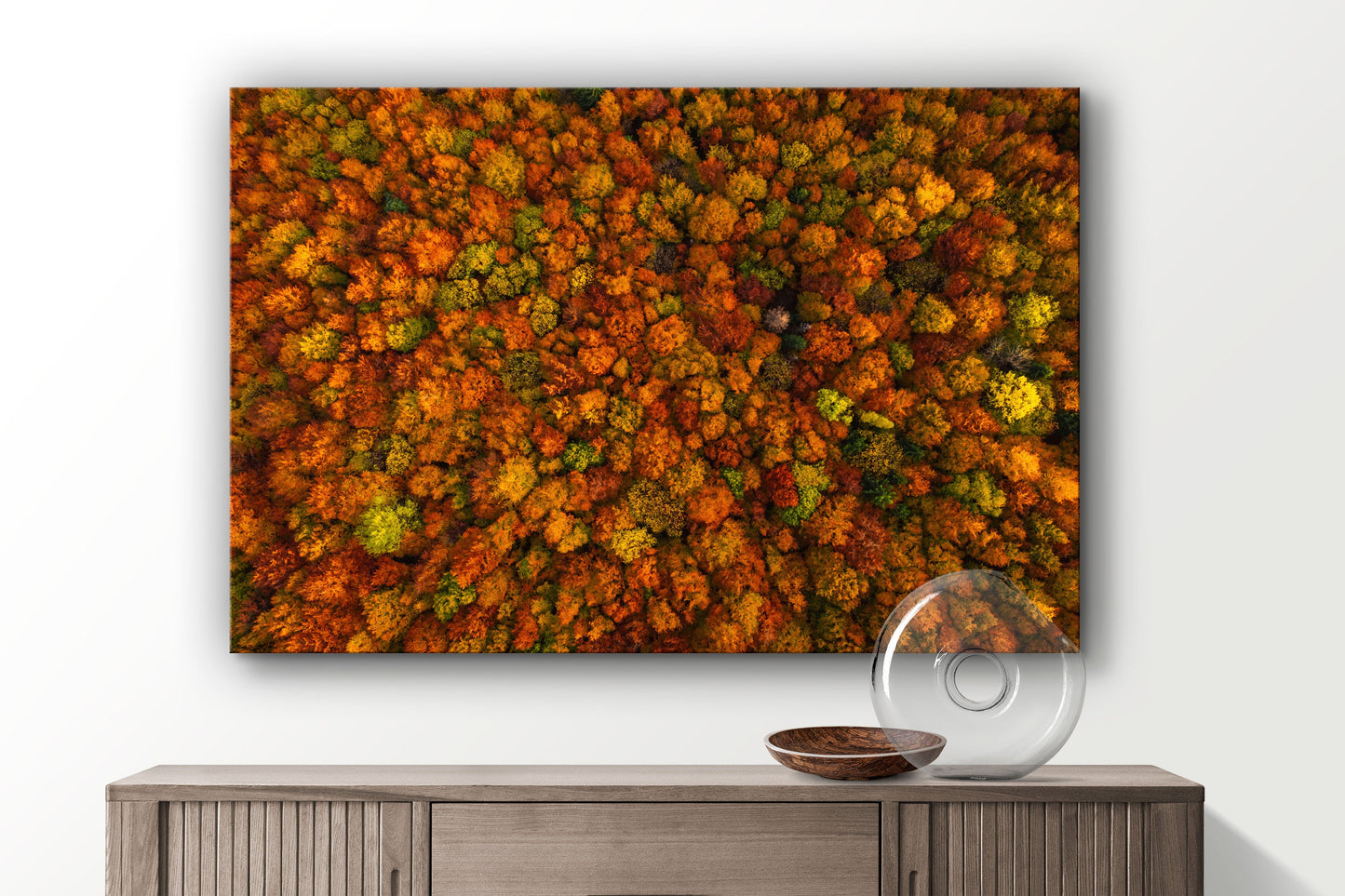 Trees, Forest, Large Glass Wall Art