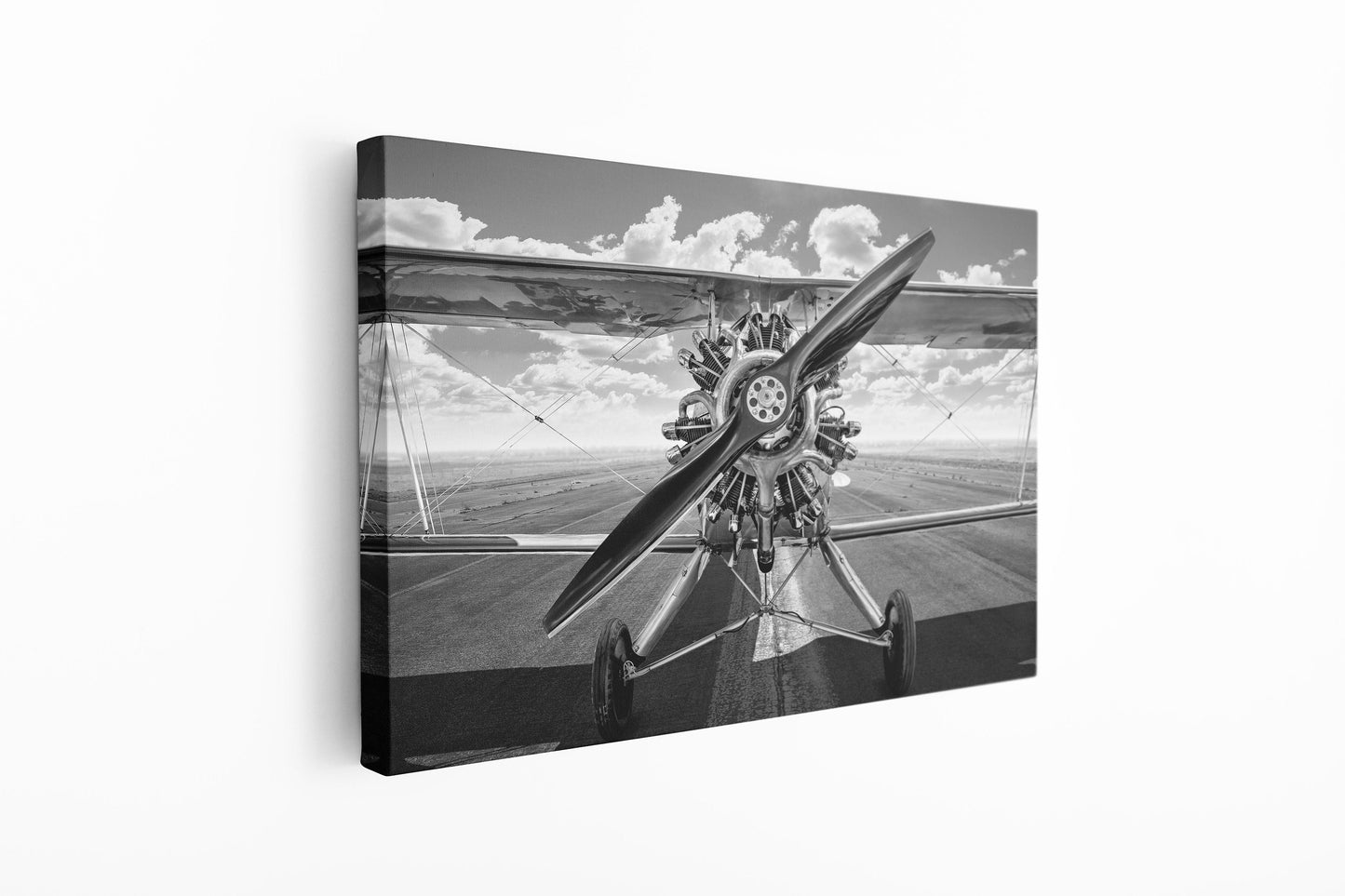 Biplane Black & White, Large Glass Wall Art