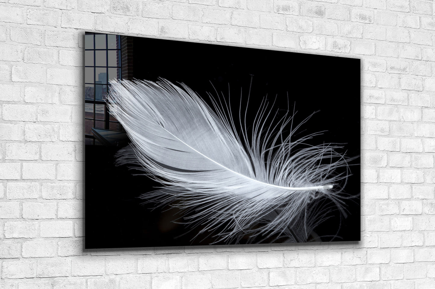 White Plumage, Large Glass Wall Art