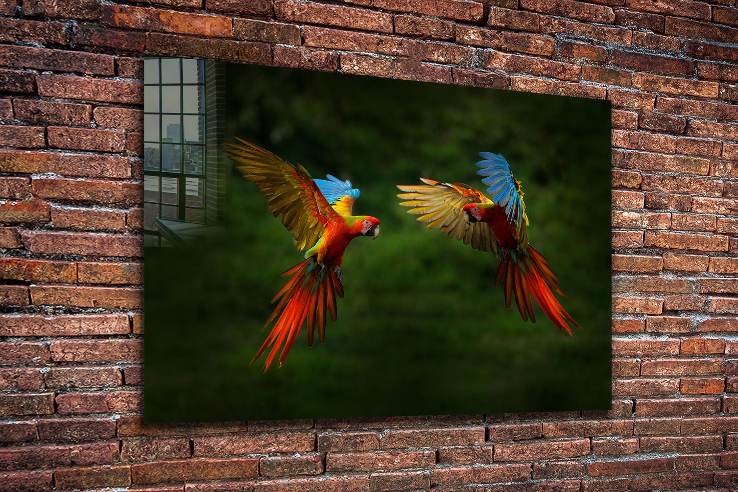 Parrot, Large Glass Wall Art
