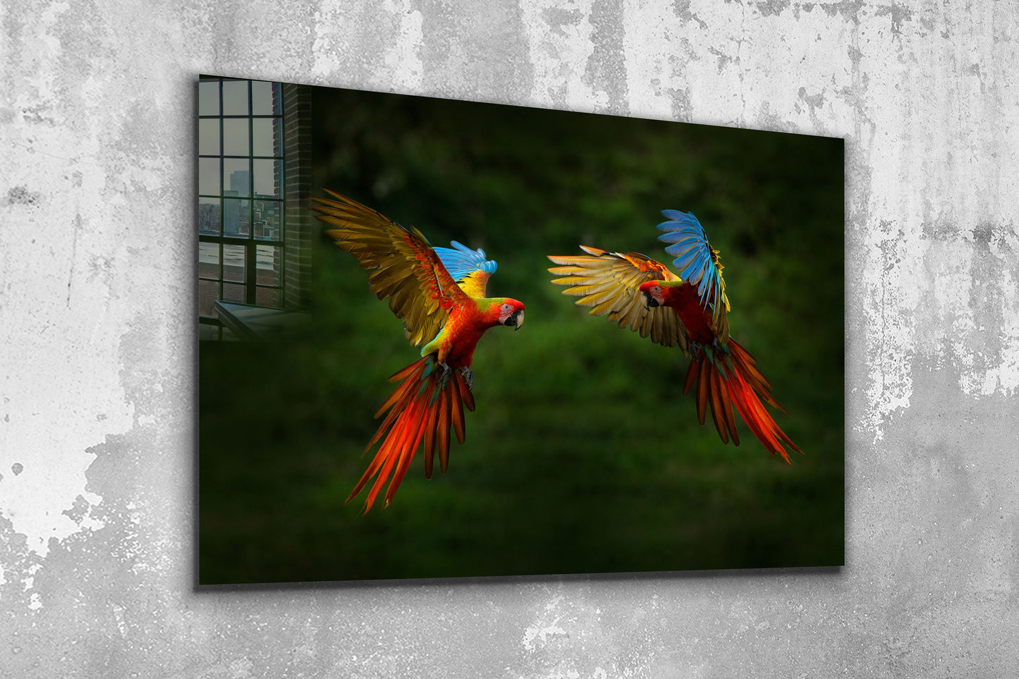 Parrot, Large Glass Wall Art