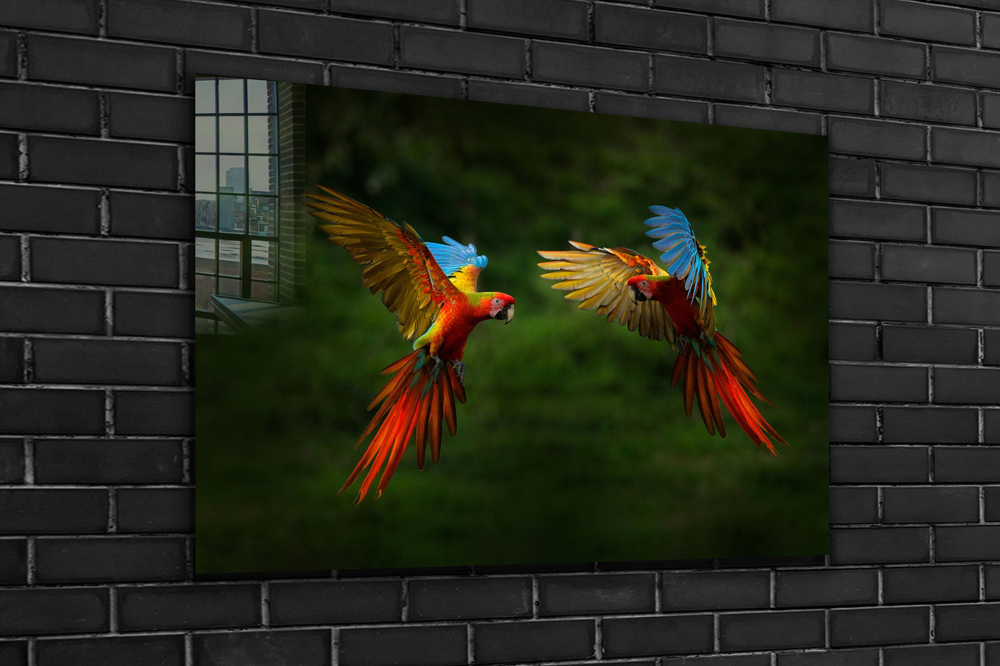 Parrot, Large Glass Wall Art