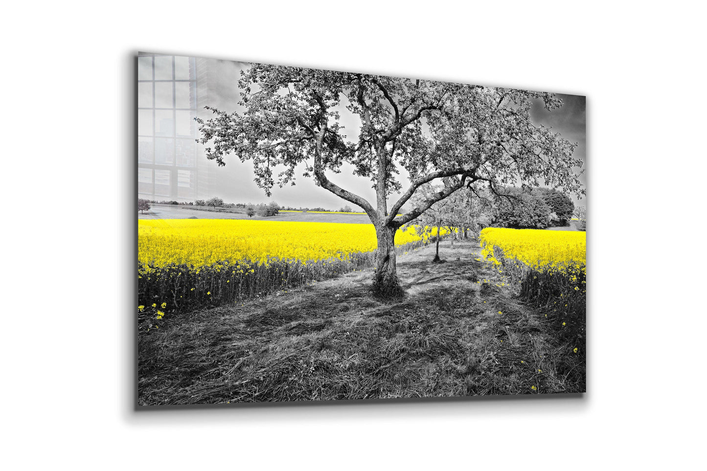 Lonely Tree, Large Glass Wall Art