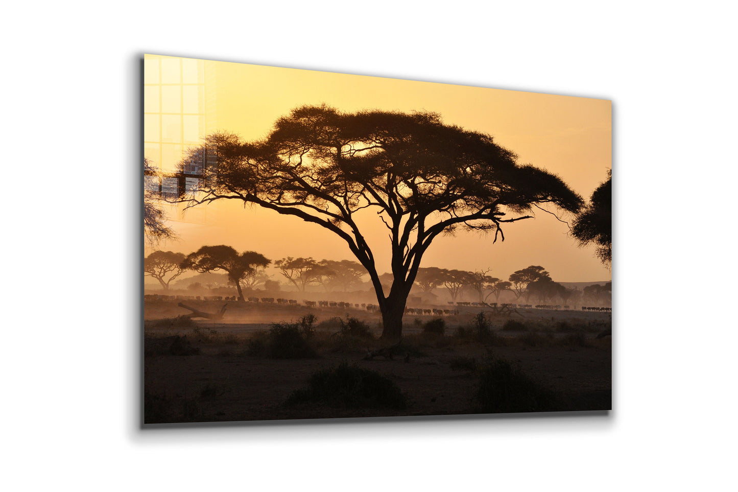 African Savannah, Large Glass Wall Art