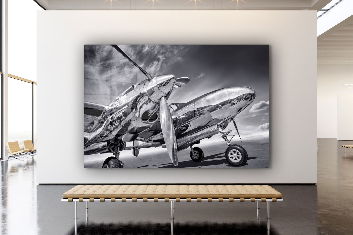 Plane Black and White, Large Glass Wall Art