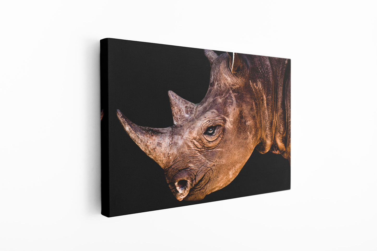 Rhino, Large Glass Wall Art