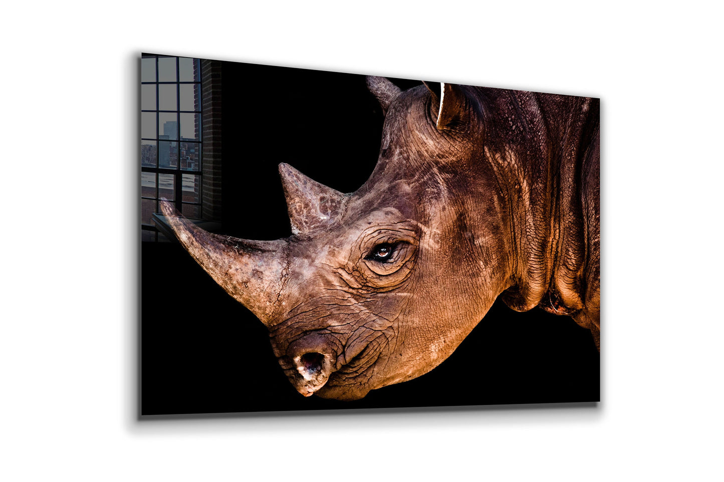 Rhino, Large Glass Wall Art
