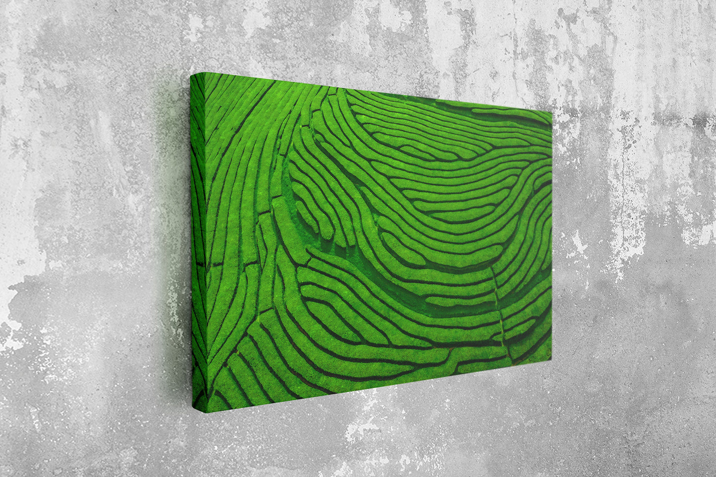 Tea Plantation, Large Glass Wall Art