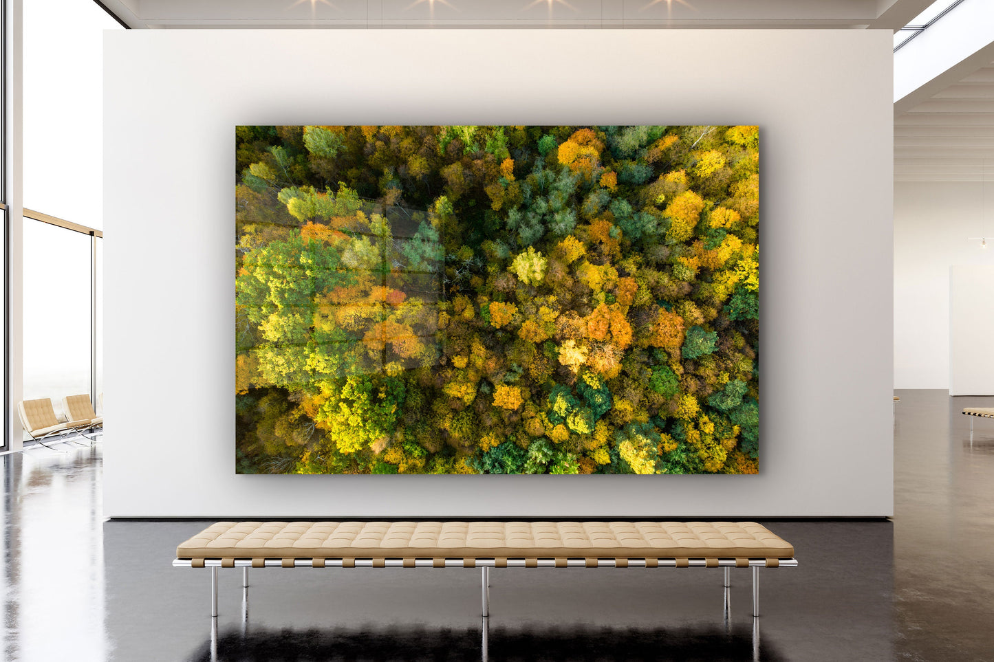 Forest, Trees, Large Glass Wall Art