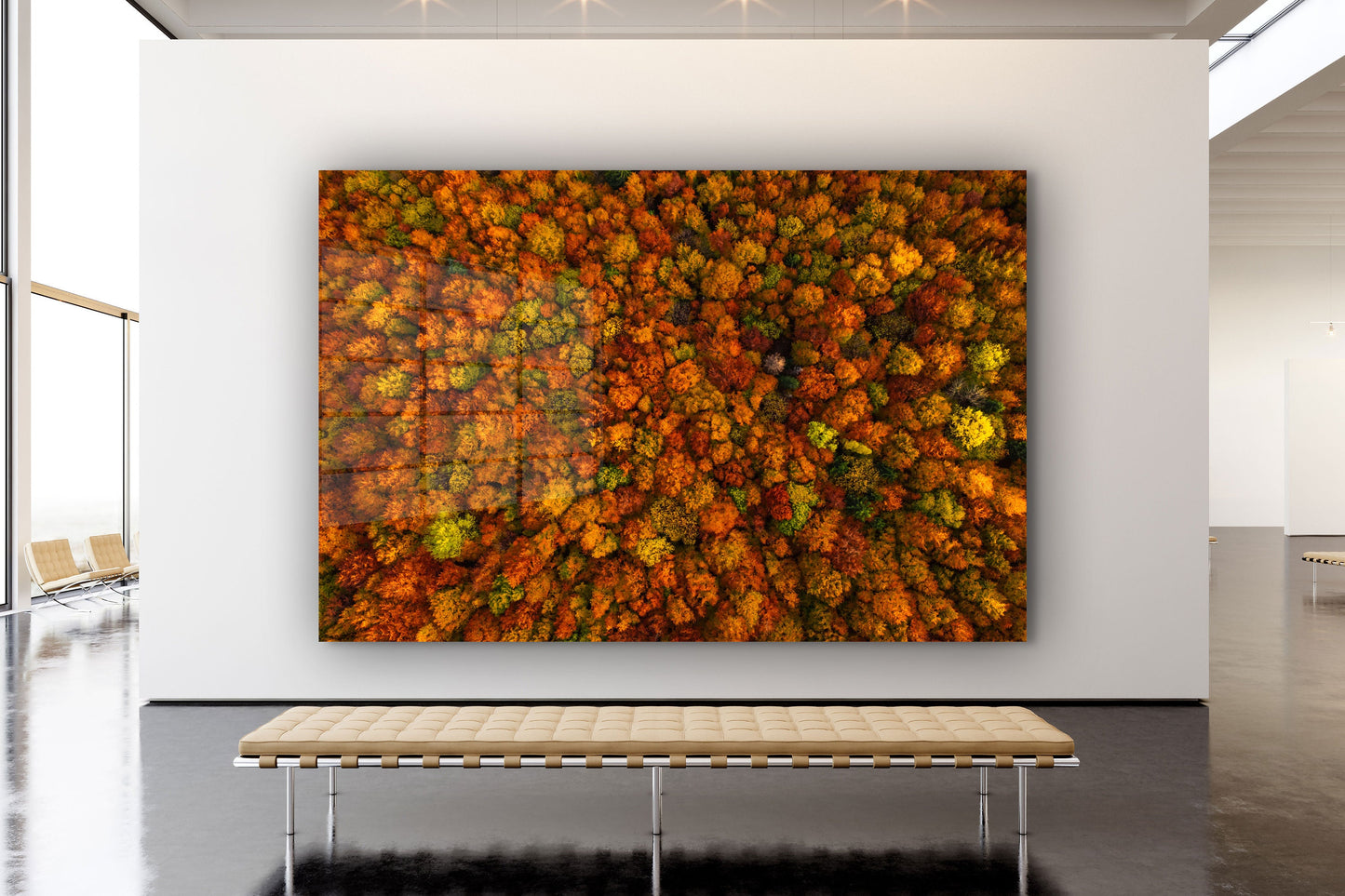Trees, Forest, Large Glass Wall Art