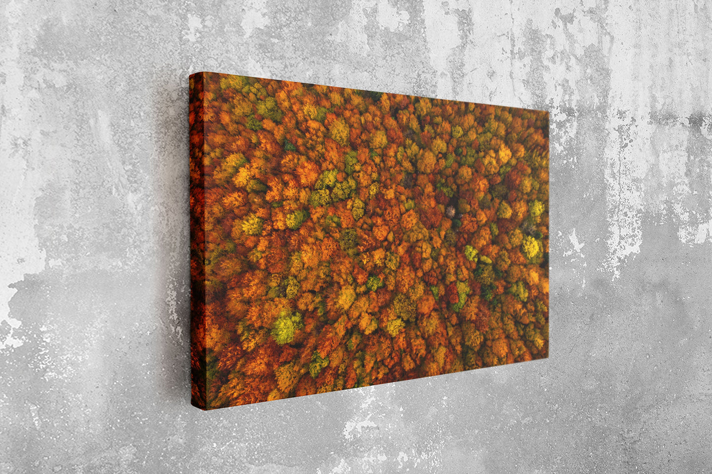 Trees, Forest, Large Glass Wall Art