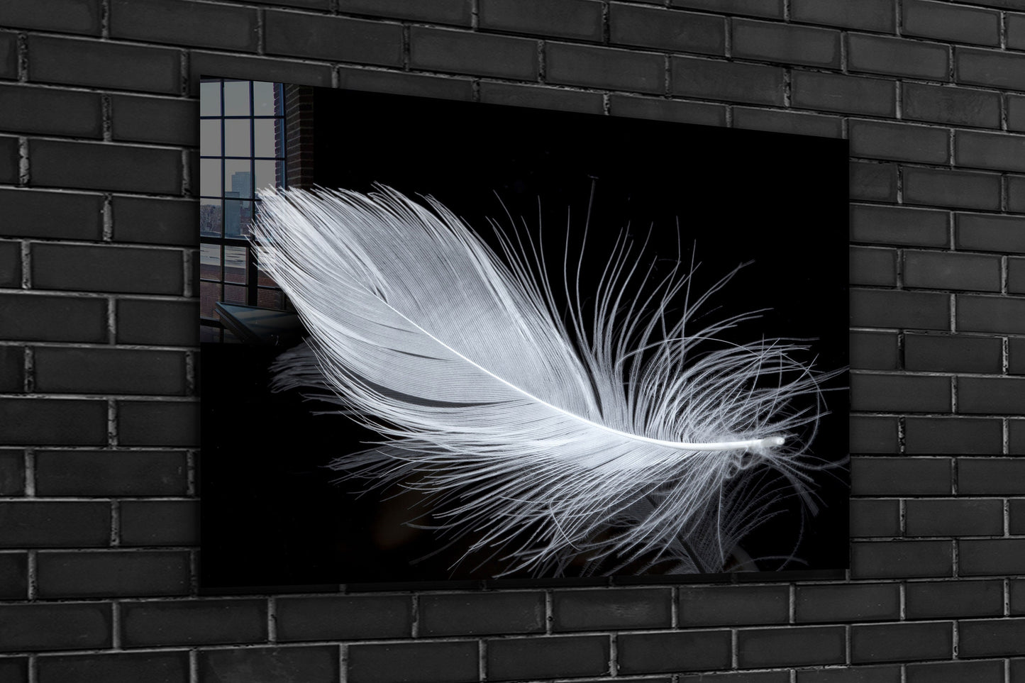 White Plumage, Large Glass Wall Art