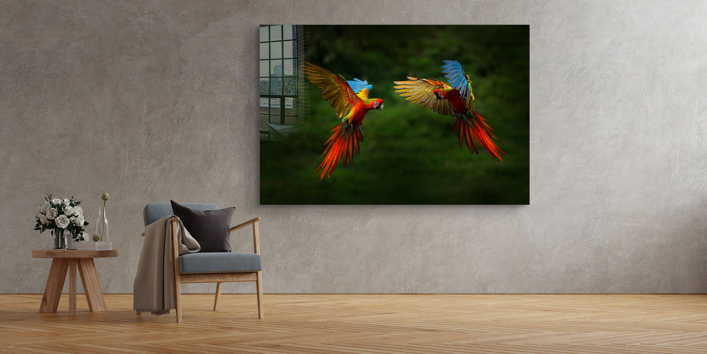 Parrot, Large Glass Wall Art