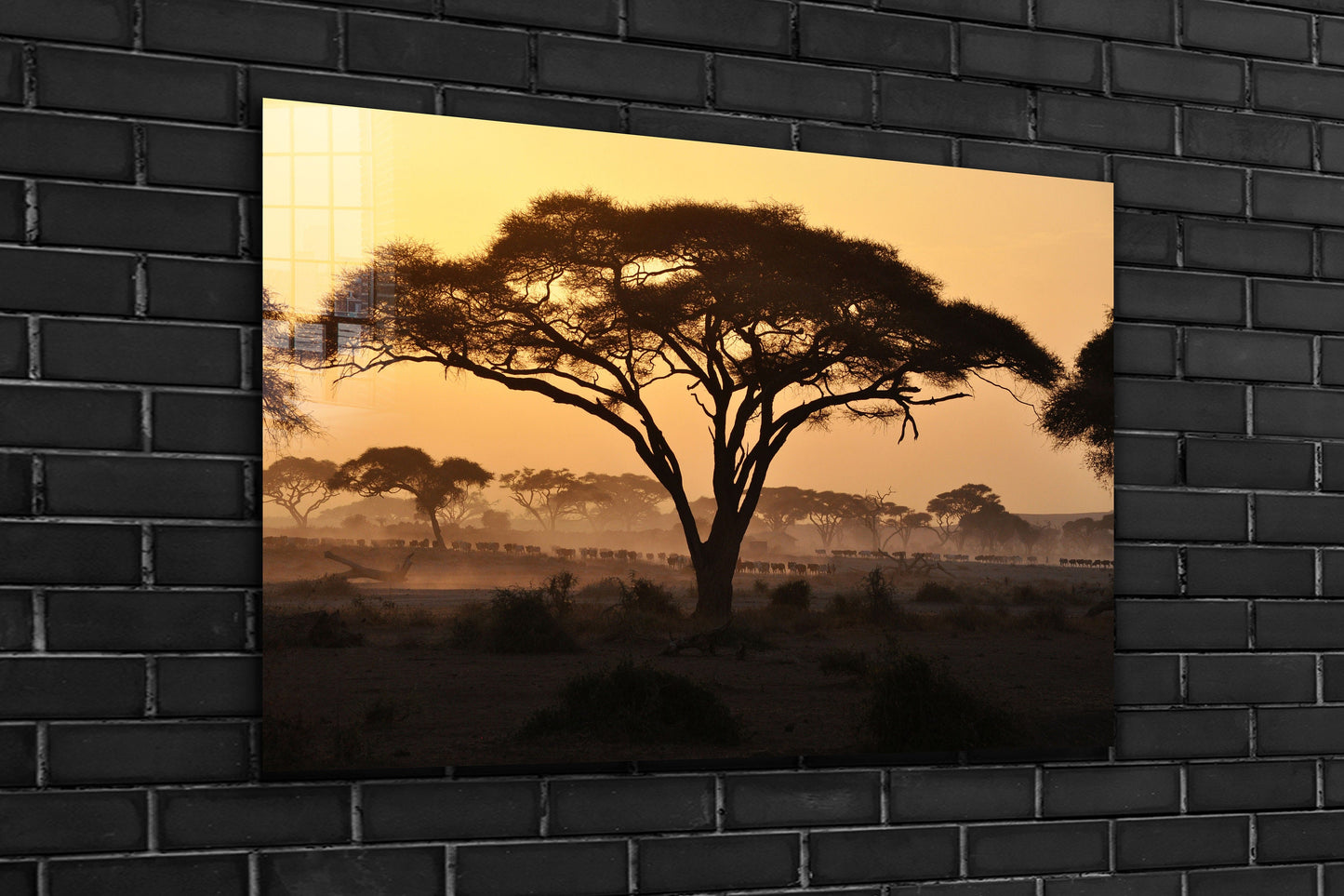 African Savannah, Large Glass Wall Art