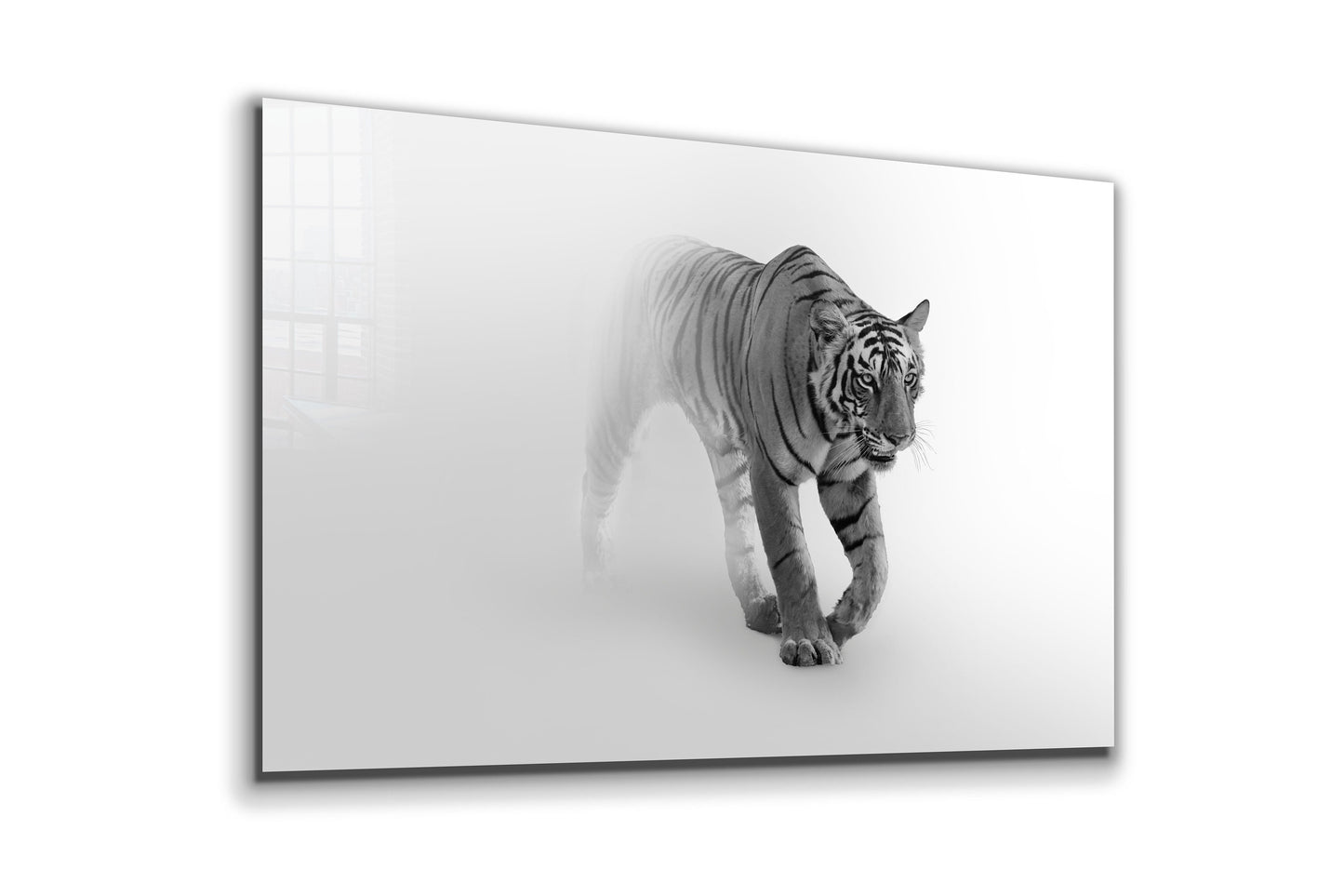 Tiger, Large Glass Wall Art