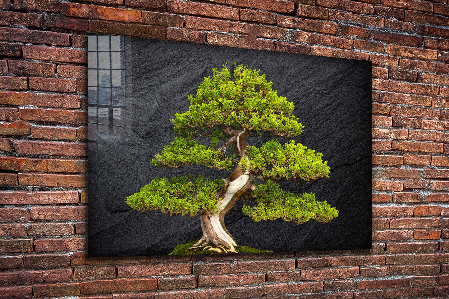Pine Tree Bonsai, Large Glass Wall Art