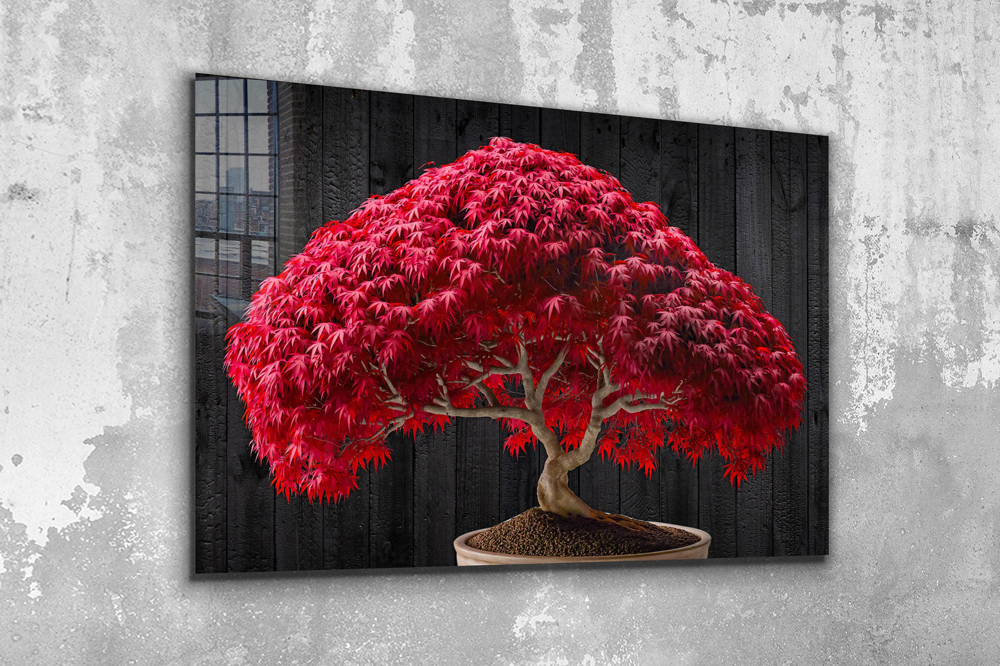 Red Maple Bonsai Tree, Large Glass Wall Art