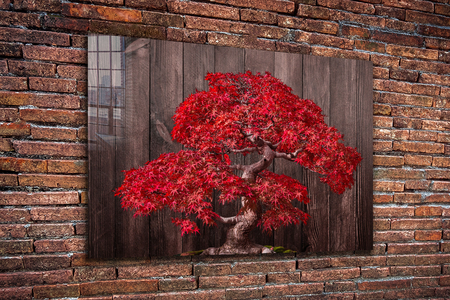 Bonsai Tree, Large Glass Wall Art