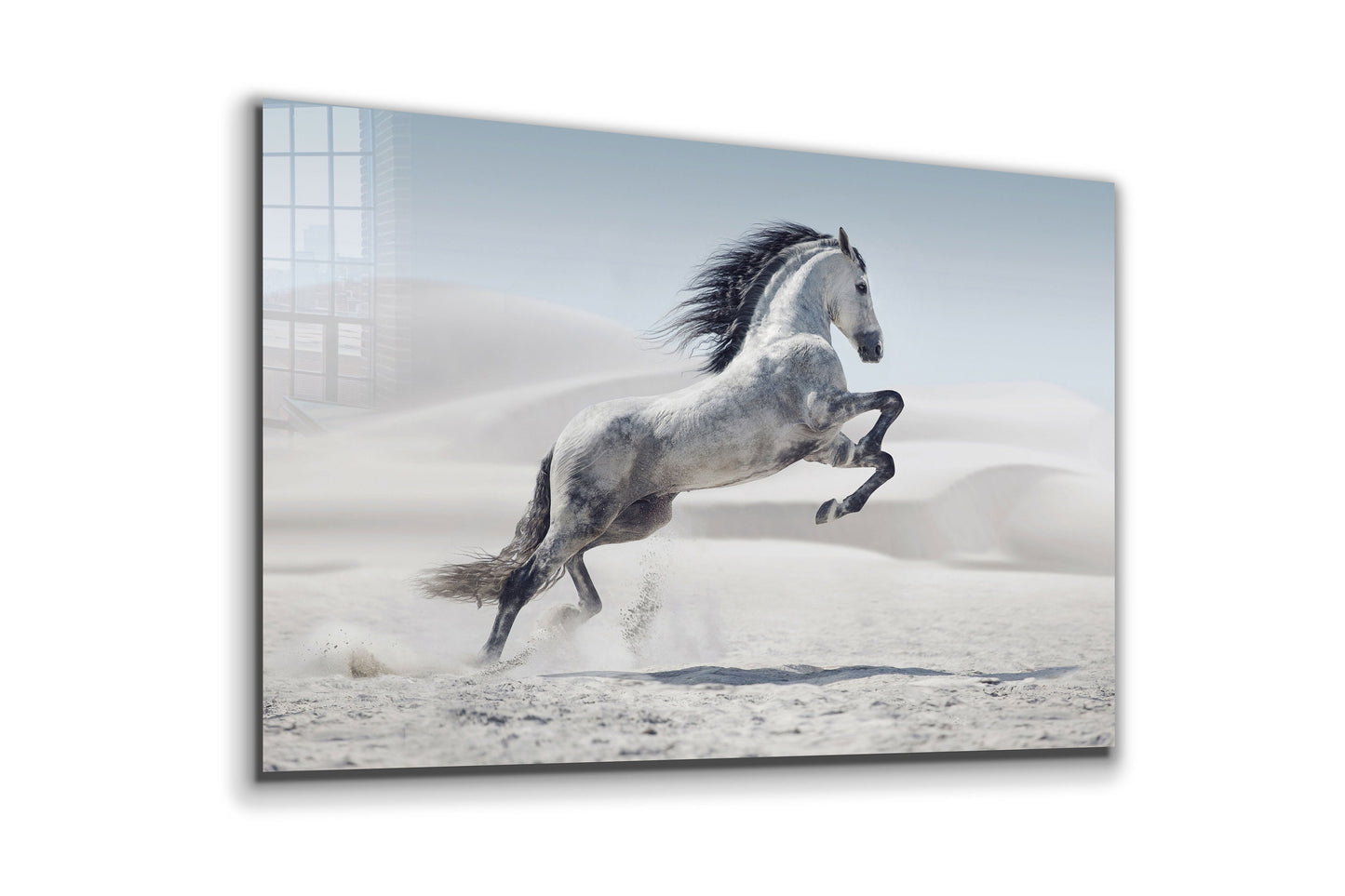 White Horse, Large Glass Wall Art